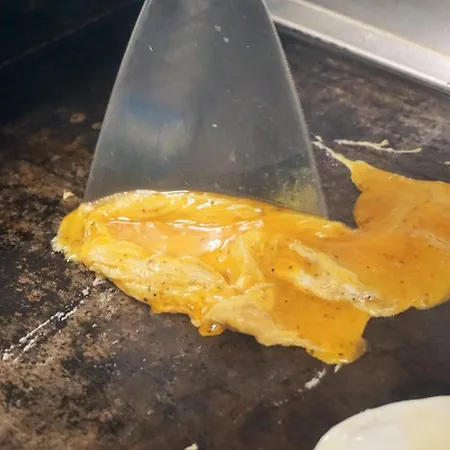 Pharos Zur Seeve מלון