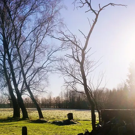 מלון Pharos Zur Seeve