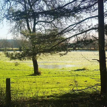 Pharos Zur Seeve Hotel Seevetal