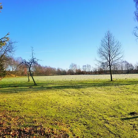 Hotel Pharos Zur Seeve 3*