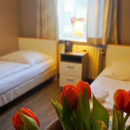 Pharos Zur Seeve 3* סייבטאל