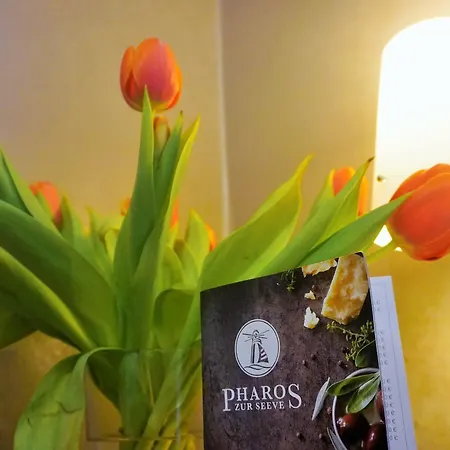 Hotel Pharos Zur Seeve 2*