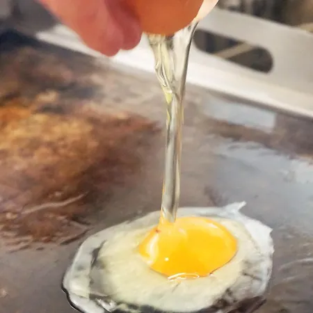 Pharos Zur Seeve 3* סייבטאל