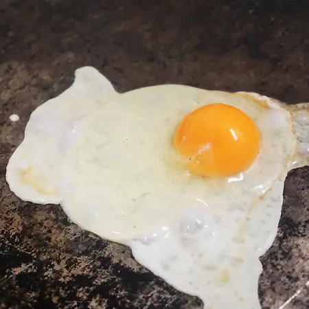 Hotel Pharos Zur Seeve 3*